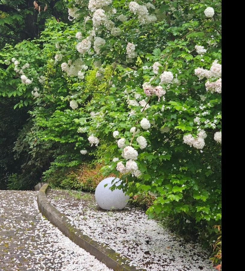 L'Ortensia Della Villa Isabella, Camera Con Vista Lago, Balcone Sul Parco E Bagno Esclusivo All'Esterno Della Camera Stresa Bagian luar foto